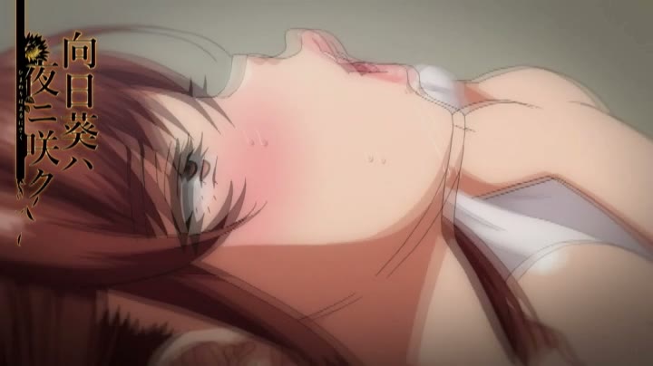 OVA向日葵ハ夜ニ咲ク 014