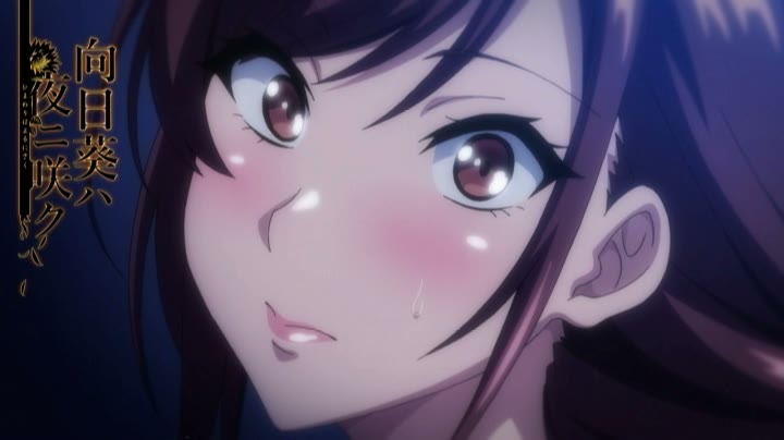 OVA向日葵ハ夜ニ咲ク 017