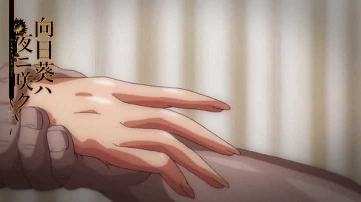 OVA向日葵ハ夜ニ咲ク 020